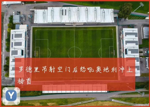 罗德里吊射空门后怒吼奥地利冲上榜首