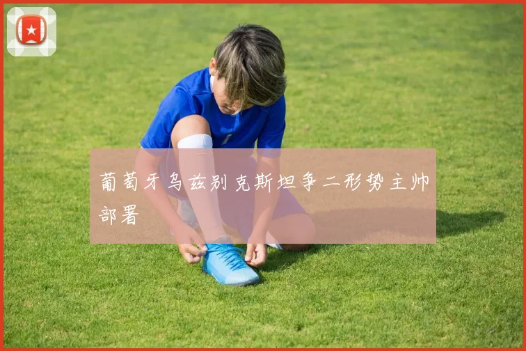 葡萄牙乌兹别克斯坦争二形势主帅部署