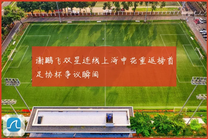 谢鹏飞双星连线上海申花重返榜首足协杯争议瞬间