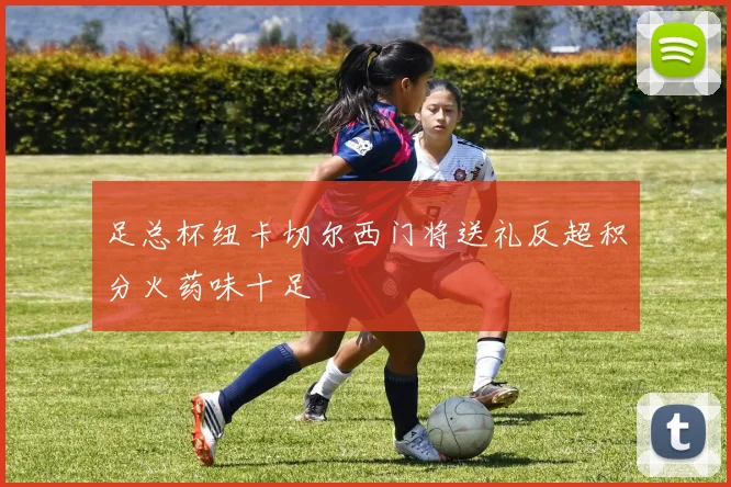 足总杯纽卡切尔西门将送礼反超积分火药味十足