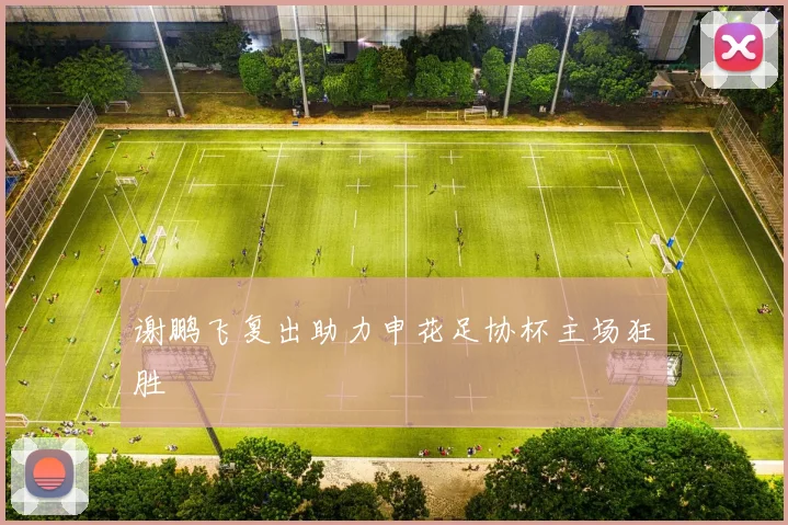 谢鹏飞复出助力申花足协杯主场狂胜
