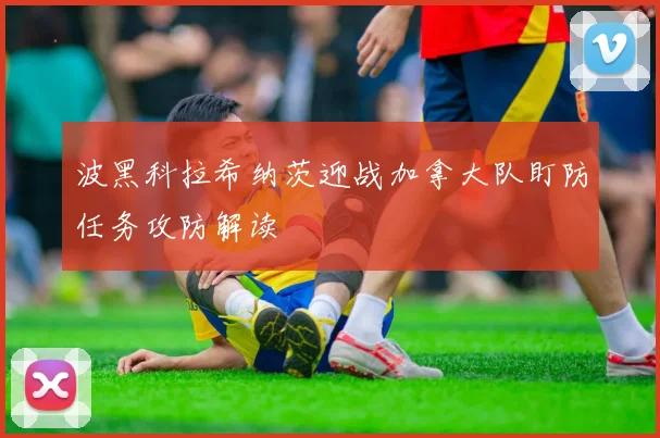 波黑科拉希纳茨迎战加拿大队盯防任务攻防解读