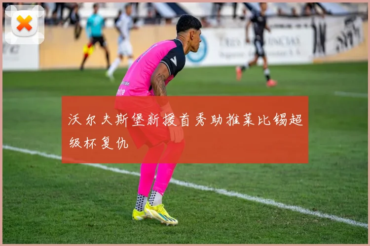 沃尔夫斯堡新援首秀助推莱比锡超级杯复仇