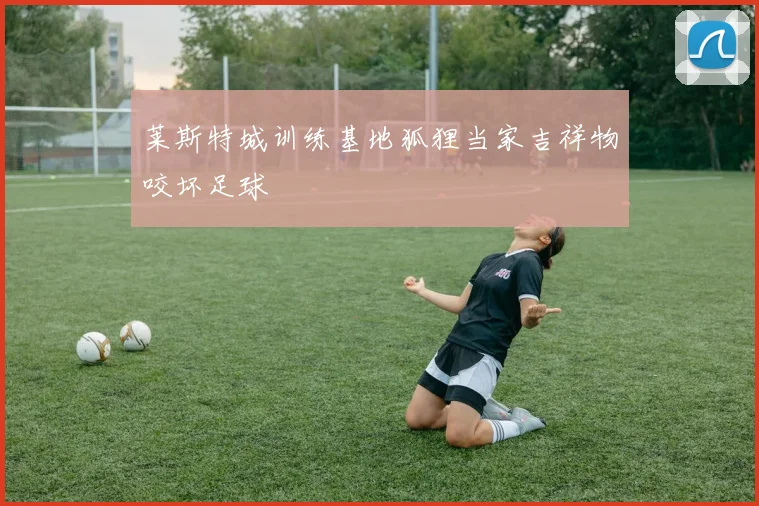 莱斯特城训练基地狐狸当家吉祥物咬坏足球