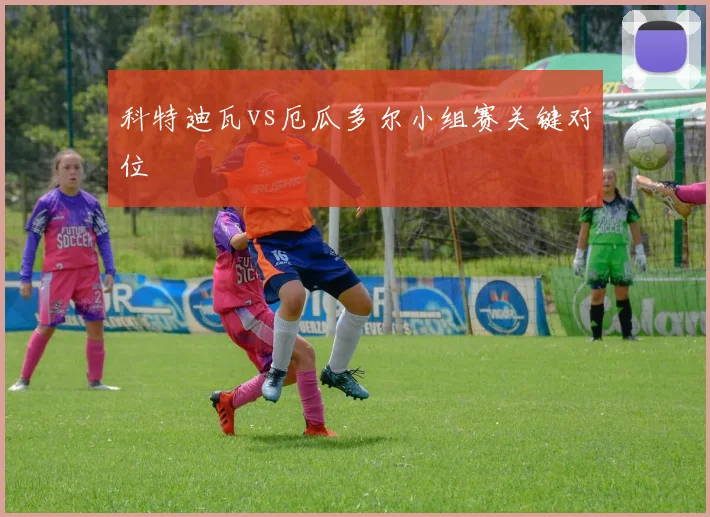 科特迪瓦vs厄瓜多尔小组赛关键对位