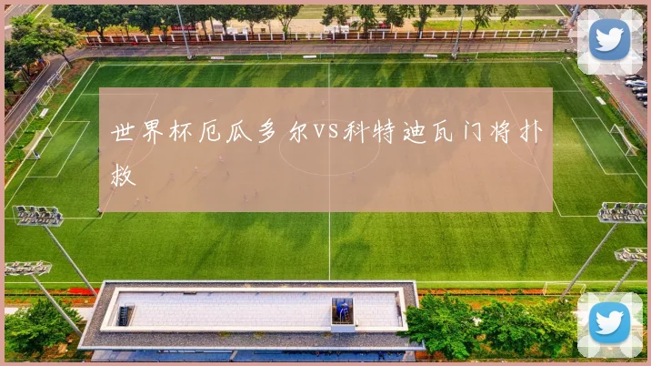 世界杯厄瓜多尔vs科特迪瓦门将扑救